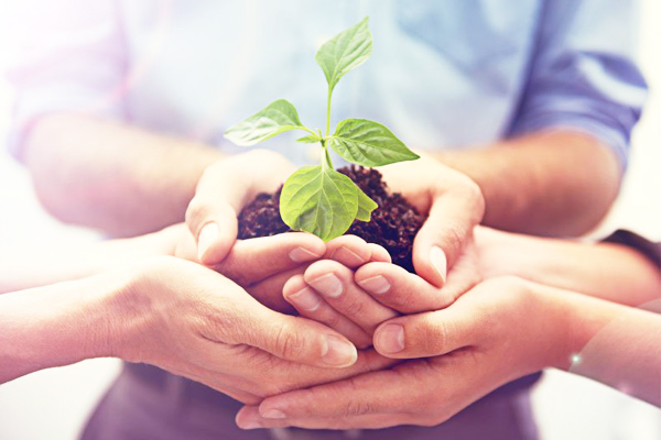 Có nên lắp điện năng lượng mặt trời hay không? - Nhất tâm